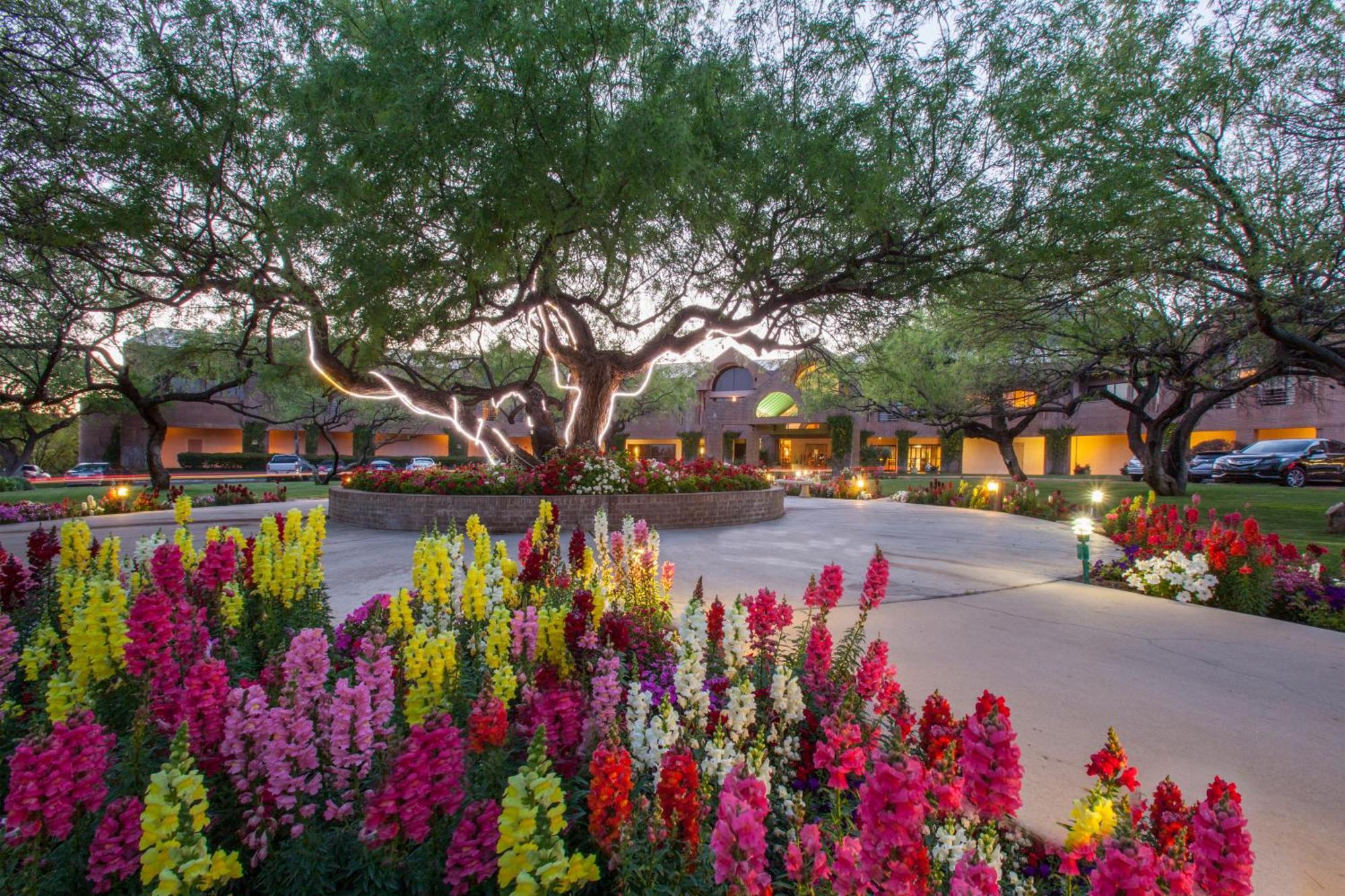The Lodge At Ventana Canyon Tucson Extérieur photo
